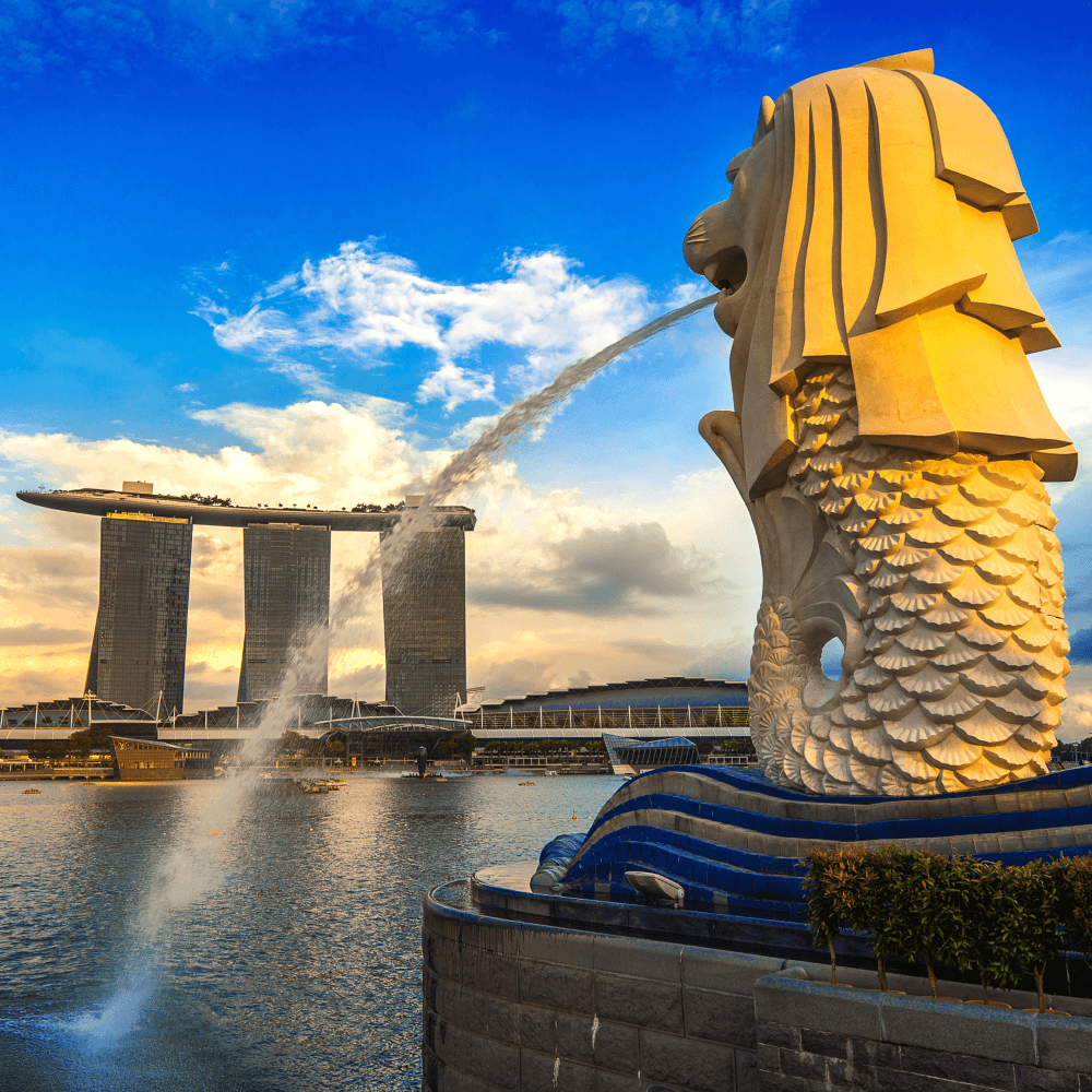 Merlion singapore incorporation overseas foreign