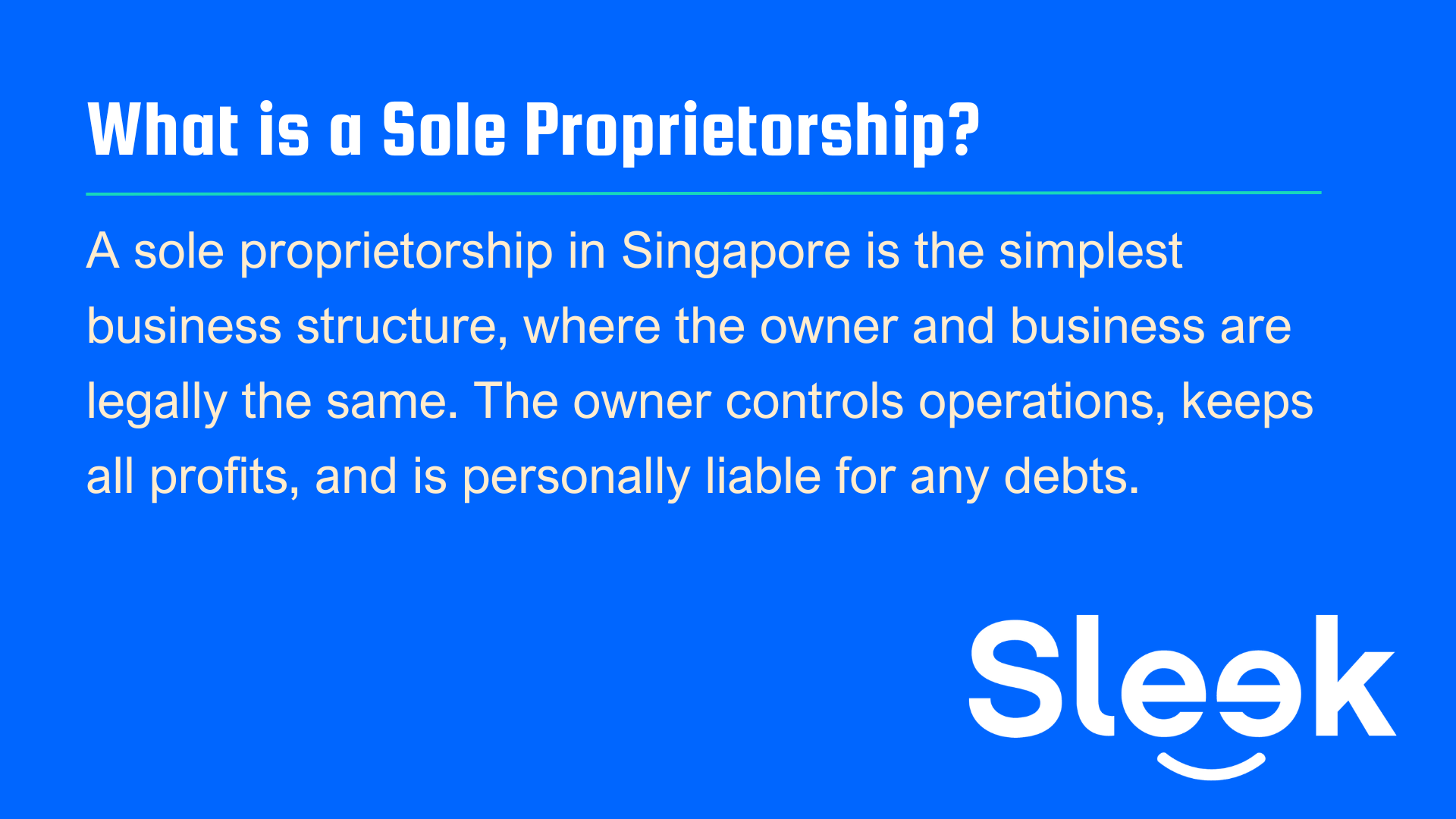 What is a Sole Proprietorship