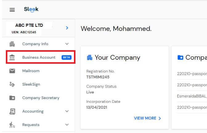 Sleek Business Account