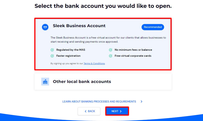 Sleek Business Account